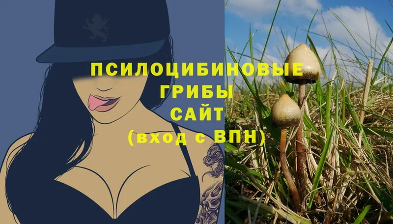 Галлюциногенные грибы MAGIC MUSHROOMS  где продают   Бугульма 